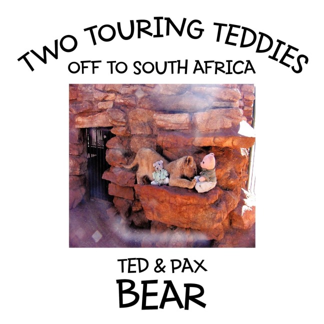 Two Touring Teddies: Off to South Africa