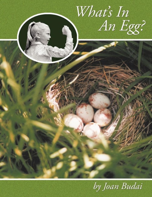 Whats In An Egg?