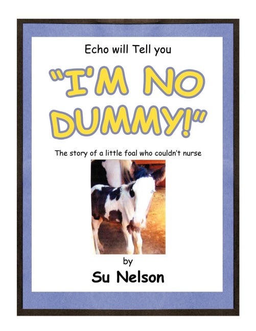 Im no Dummy!