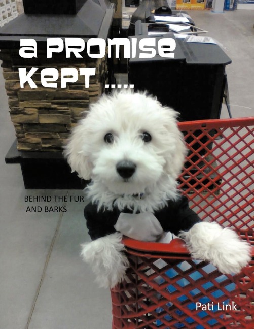 A Promise Kept .....: Behind the Fur and Barks