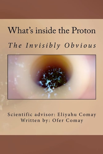 What's Inside the Proton The Invisibly Obvious