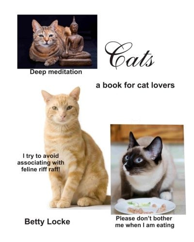 Cats Enjoying Our Feline Friends