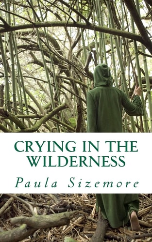 Crying in the Wilderness A Poetical Exploration