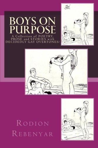 Boys On Purpose A Collection of Poetry, Prose and Stories with Decidedly Gay Overtones!