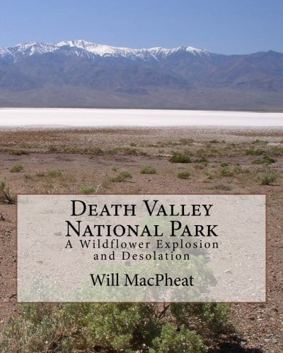 Death Valley National Park A Wildflower Explosion and Desolation