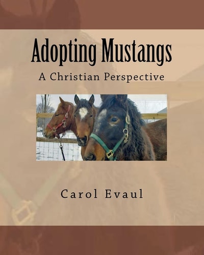 Adopting Mustangs A Christian Perspective