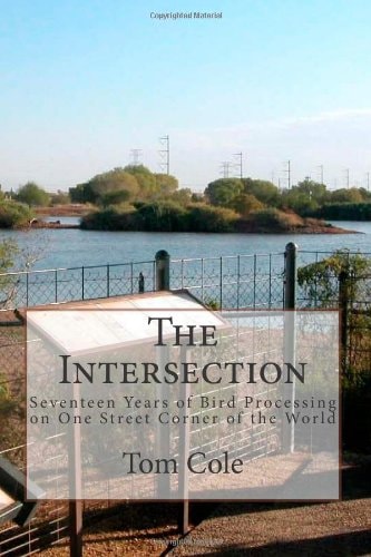 The Intersection Seventeen Years of Bird Processing on One Street Corner of the World