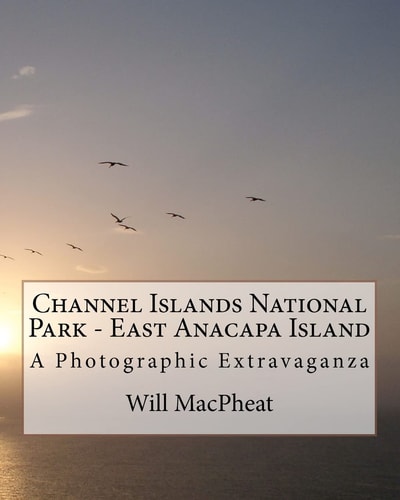 Channel Islands National Park - East Anacapa Island A Photographic Extravaganza