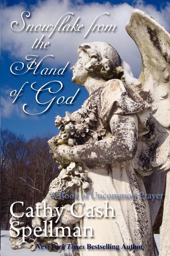 Snowflake from the Hand of God A Book of Uncommon Prayer