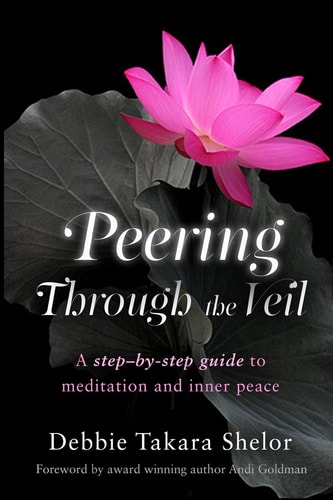 Peering Through the Veil The Simple Step-By-Step Guide to Meditation and Inner Peace