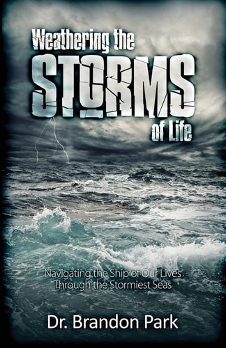 Weathering the Storms of Life Navigating the Ship of Our Lives Through the Stormiest Seas