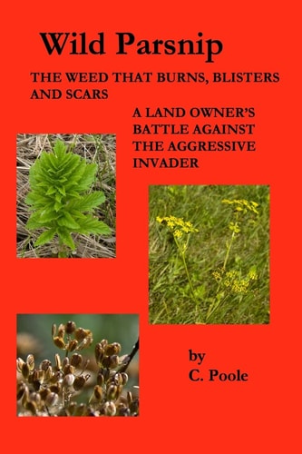 Wild Parsnip The Weed that Burns, Blisters and Scars: A Land Owner's Battle Against the Aggressive Invader