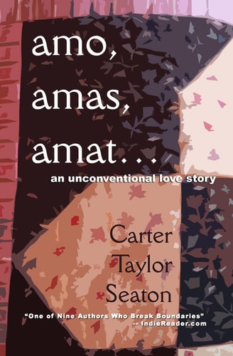 Amo, Amas, Amat... An Unconventional Love Story