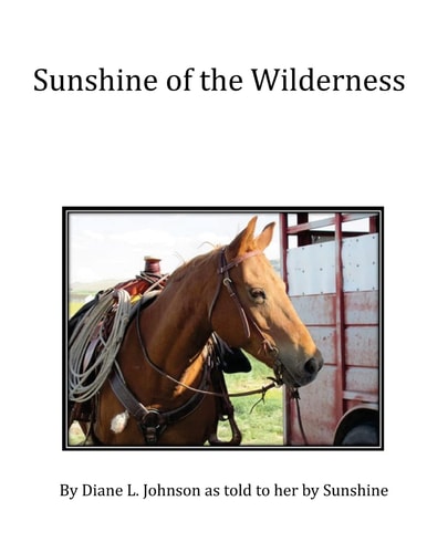 Sunshine of the Wilderness