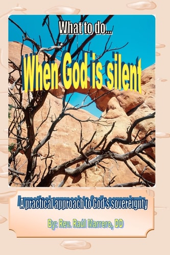 What to Do When God Is Silent A Practical Approach to God's Sovereingty