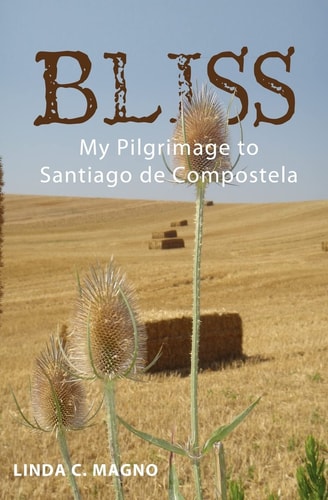 Bliss My Pilgrimage to Santiago de Compostela