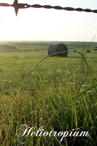 Heliotropium