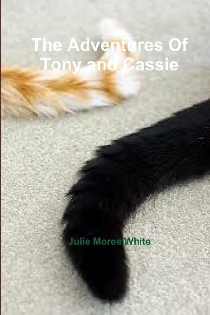 The Adventures Of Tony and Cassie