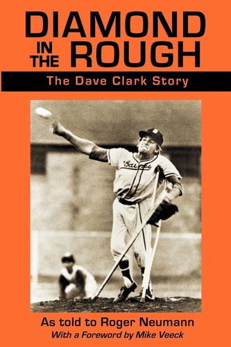 Diamond in the Rough The Dave Clark Story
