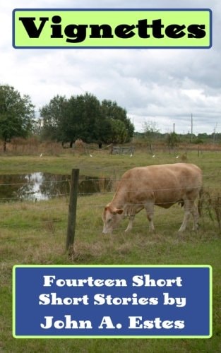 Vignettes Fourteen Short Short Stories