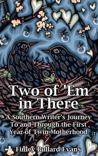 Two of 'Em in There A Southern Writer's Journey to and Through the First Year of Twin Motherhood
