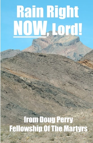 Rain Right NOW, Lord! How to Get Your Cup So Full of Jesus that Nothing Else Can Fit.