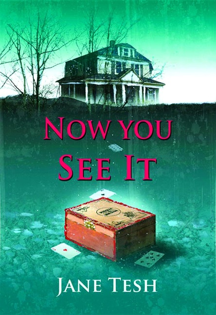 Now You See It: A Grace Street Mystery