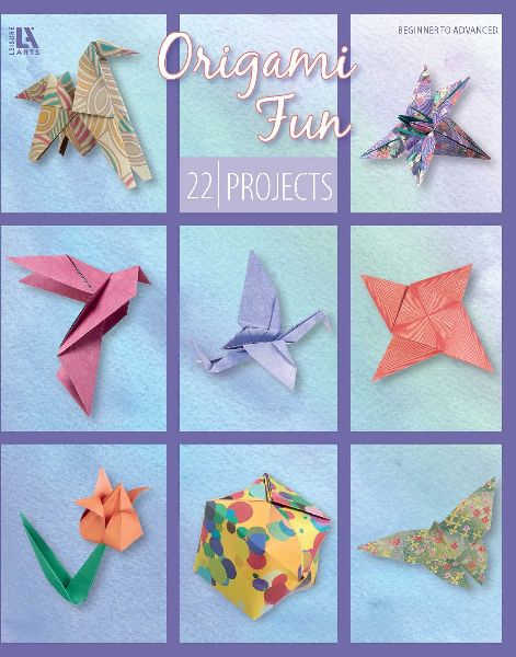 Origami Fun: 22 Projects