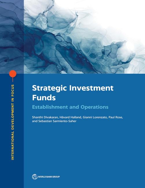 Strategic Investment Funds: Establishment and Operations