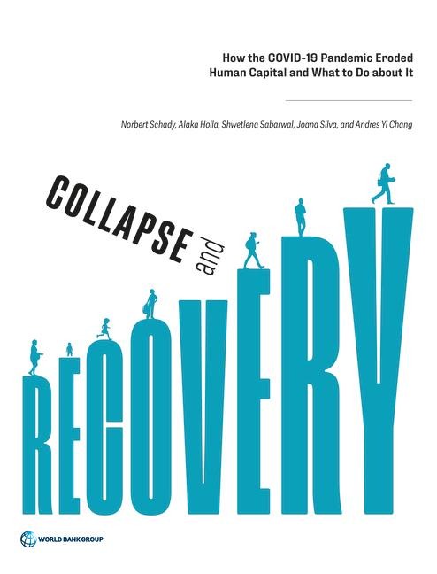 Collapse and Recovery: How the COVID-19 Pandemic Eroded Human Capital and What to Do about It