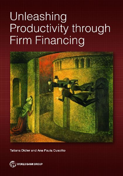 Unleashing Productivity Through Firm Financing