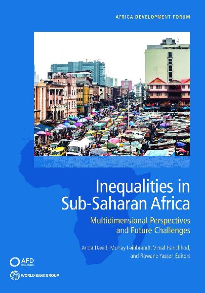 Inequalities in Sub-Saharan Africa: Multidimensional Perspectives and Future Challenges