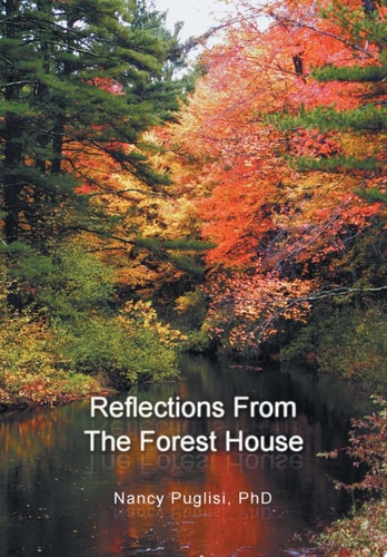 Reflections from the Forest House