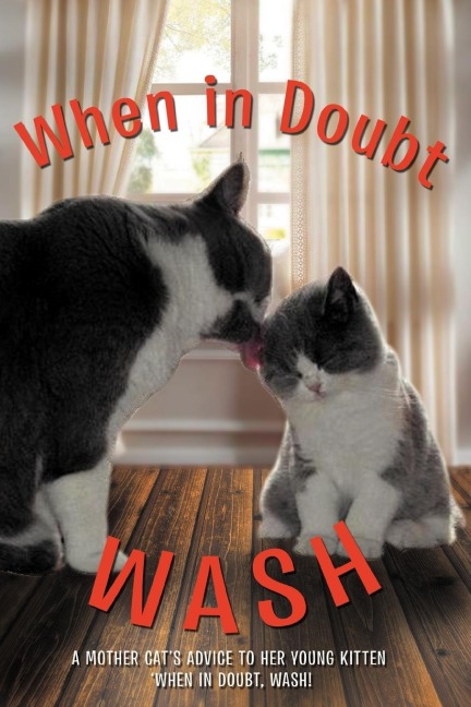 When in Doubt Wash: A Mother Cats Advise to Her Young Kitten