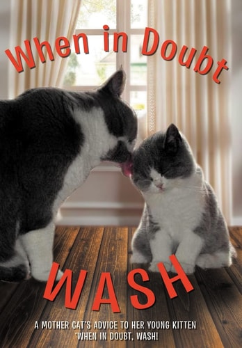 When in Doubt Wash A Mother Cat's Advise to Her Young Kitten