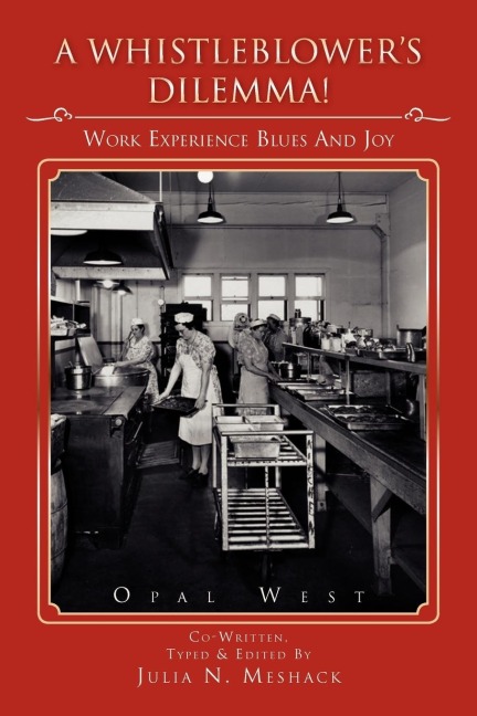 A Whistle Blowers Dilemma!: Work Experience Blues & Joys