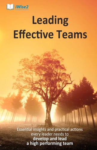 Leading Effective Teams Essential Insights and Practical Actions Every Leader Needs to Develop and Lead a High Performing Team