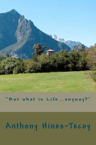 But What Is Life... Anyway?