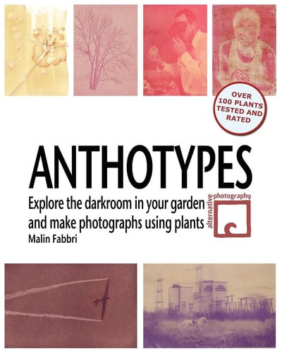 Anthotypes Explore the Darkroom in Your Garden and Make Photographs Using Plants