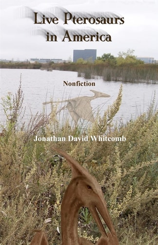 Live Pterosaurs in America Not Extinct, Flying Creatures of Cryptozoology That Some Call Pterodactyls Or Flying Dinosaurs Or Prehistoric Birds