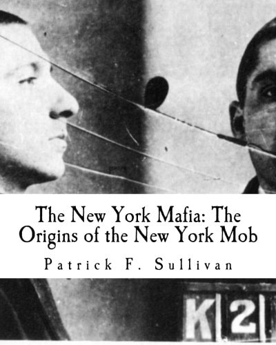 The New York Mafia The Origins of the New York Mob
