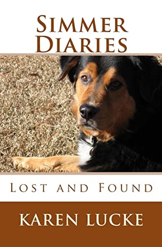 Simmer Diaries Lost and Found