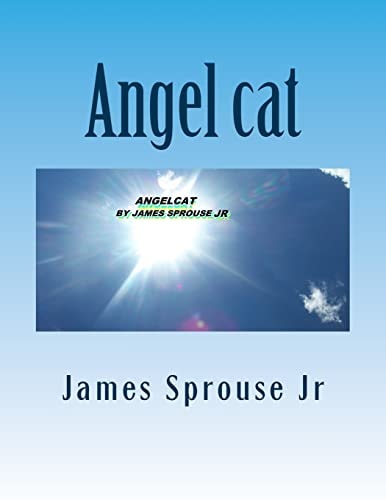 Angel Cat Angelcat Book of Beginning
