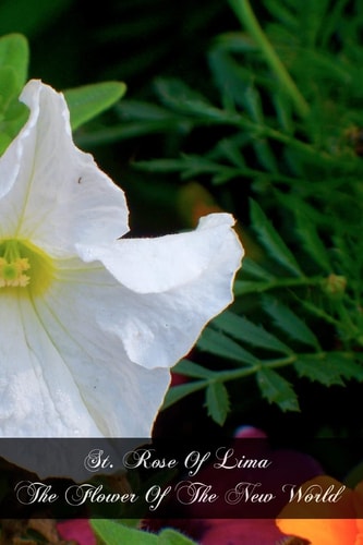 St. Rose Of Lima The Flower Of The New World