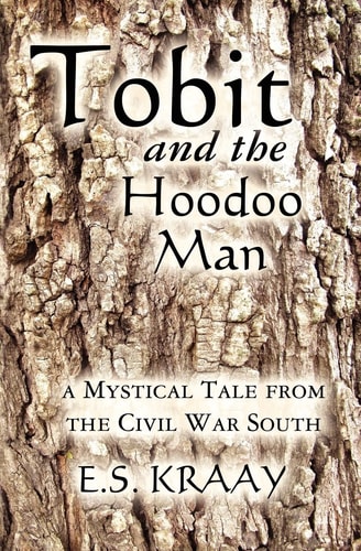 Tobit and the Hoodoo Man A Mystical Tale from the Civil War South