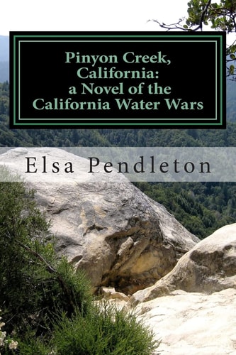 Pinyon Creek, California A Novel of the California Water Wars
