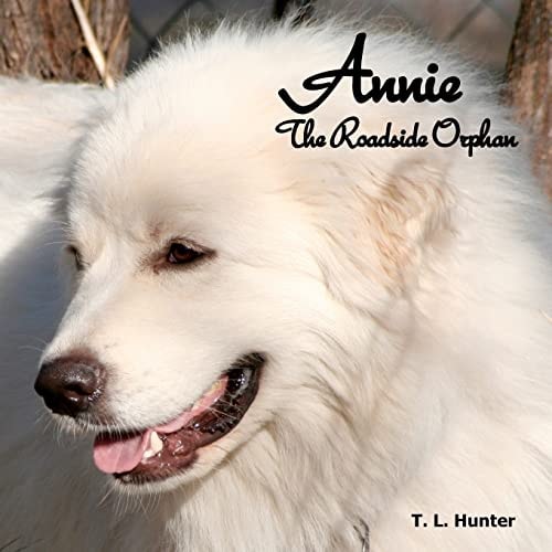 Annie The Roadside Orphan