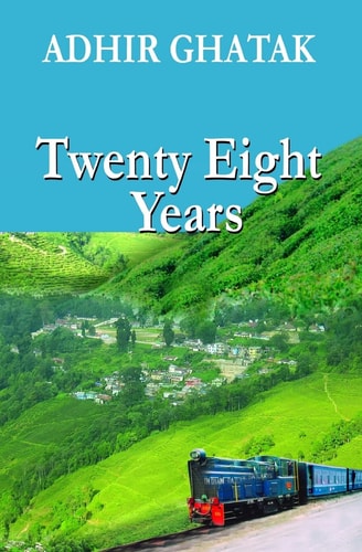 Twenty Eight Years A Novel by