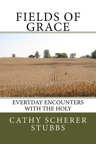 Fields of Grace Everyday Encounters with the Holy