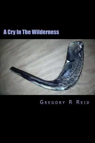 A Cry In The Wilderness When Being "Just a Christian" Isn't Enough